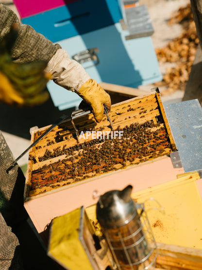 Chestnut Honey