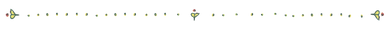 Footer Decorative Image